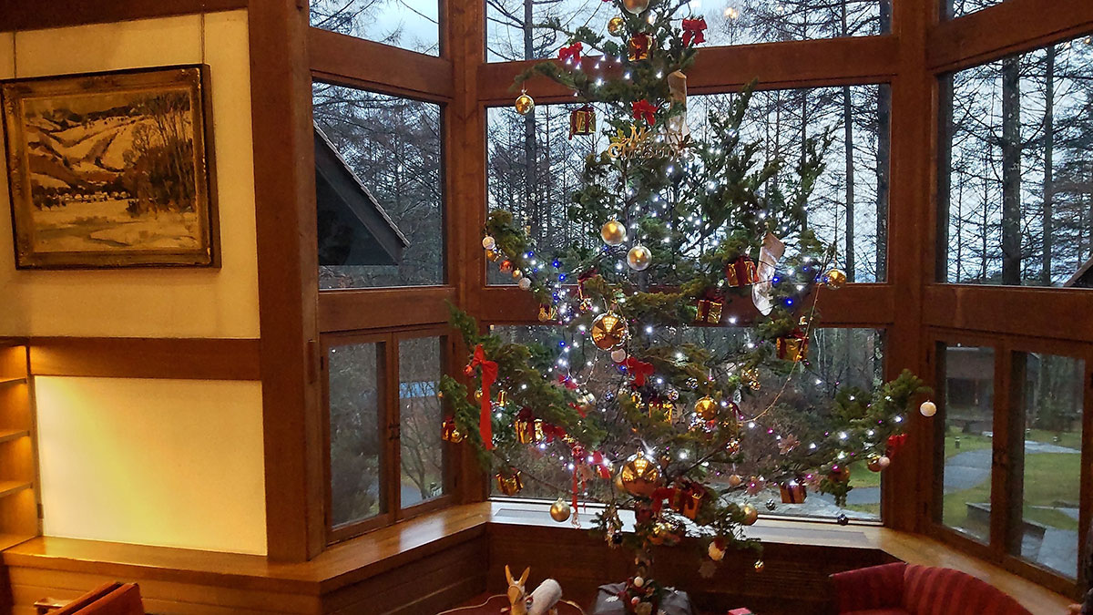 クリスマスの時期だったため、エントランス下の方には素敵なクリスマスツリーが飾られてました