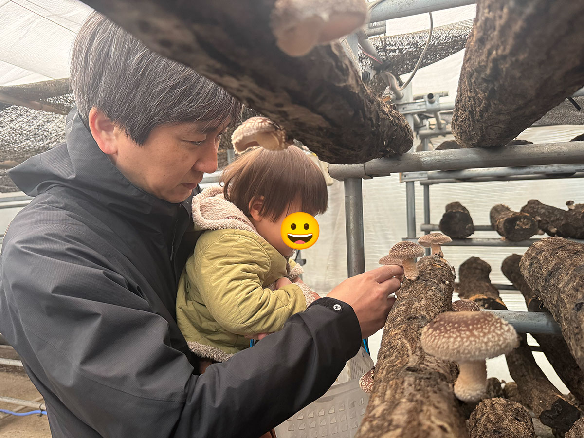 椎茸は、傘が開きすぎる前の状態が美味しいと教えていただきました。