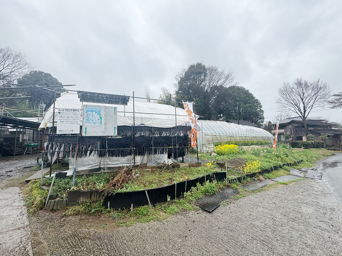 今回の椎茸狩りの場所「栗原しいたけ園」。雨のため天気は悪め。