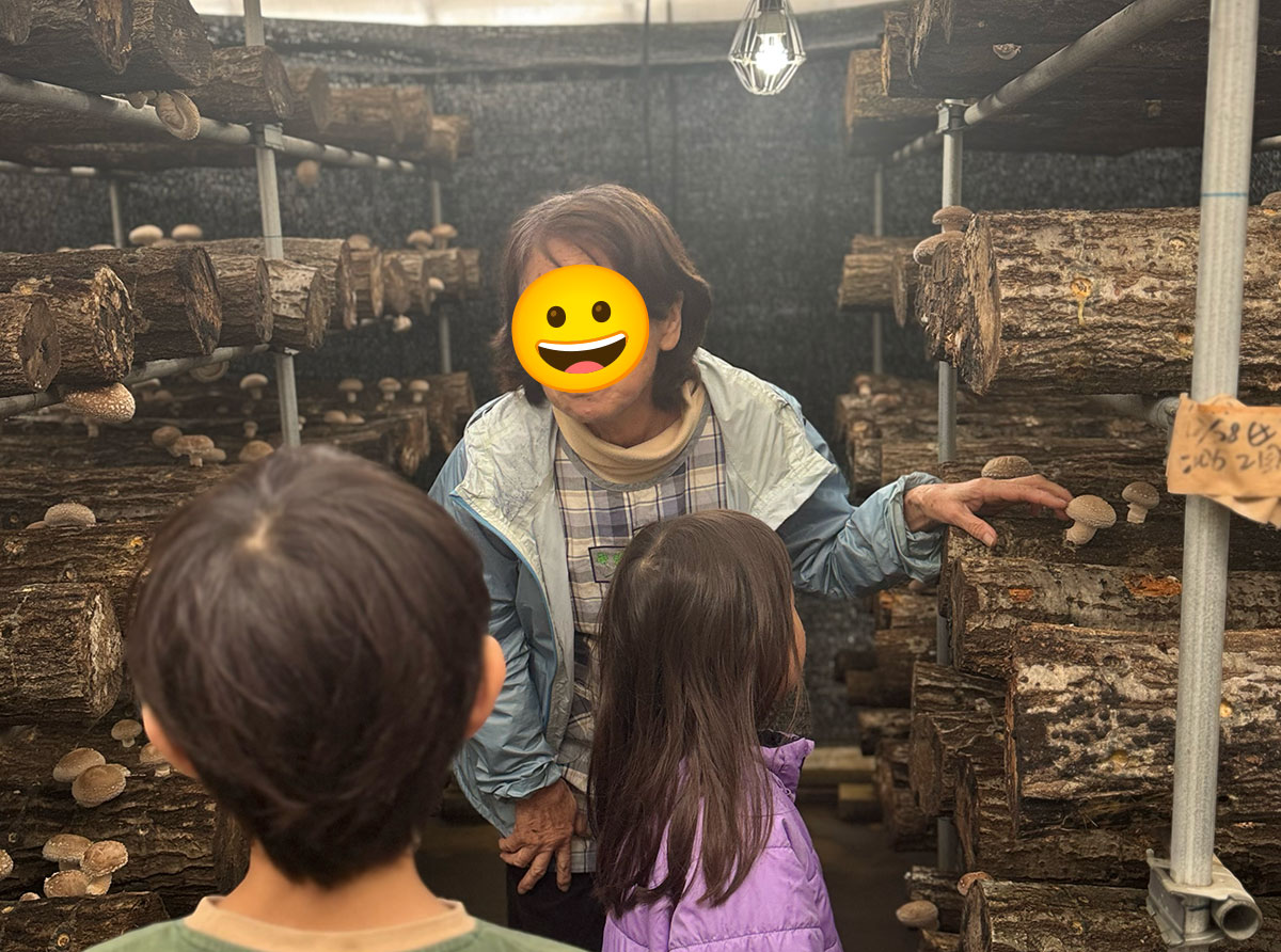 椎茸に関するいろんな情報を教えてくれる、とても親切な栗原しいたけ園のお母さん。