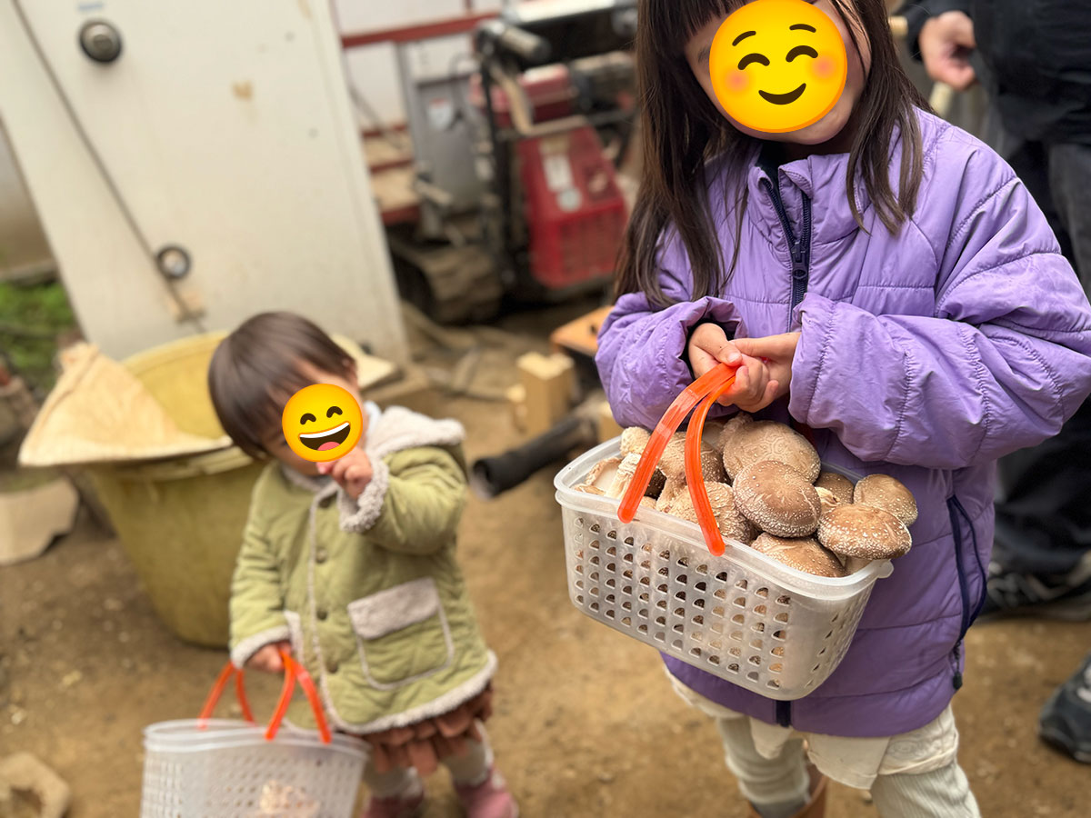 椎茸です♪カゴいっぱいです♪