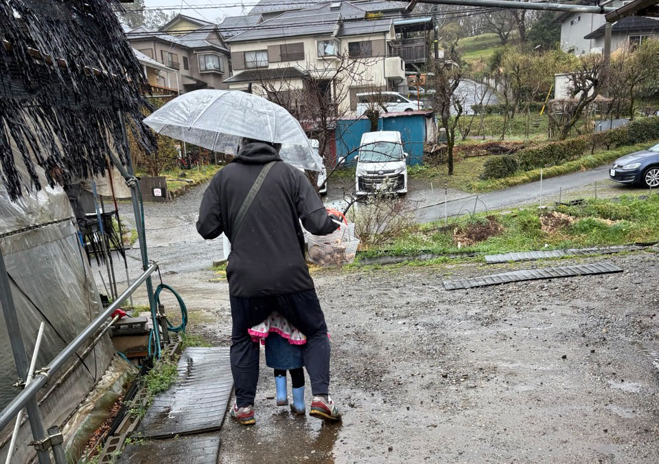 ハウスから一歩出るとそこは大雨。