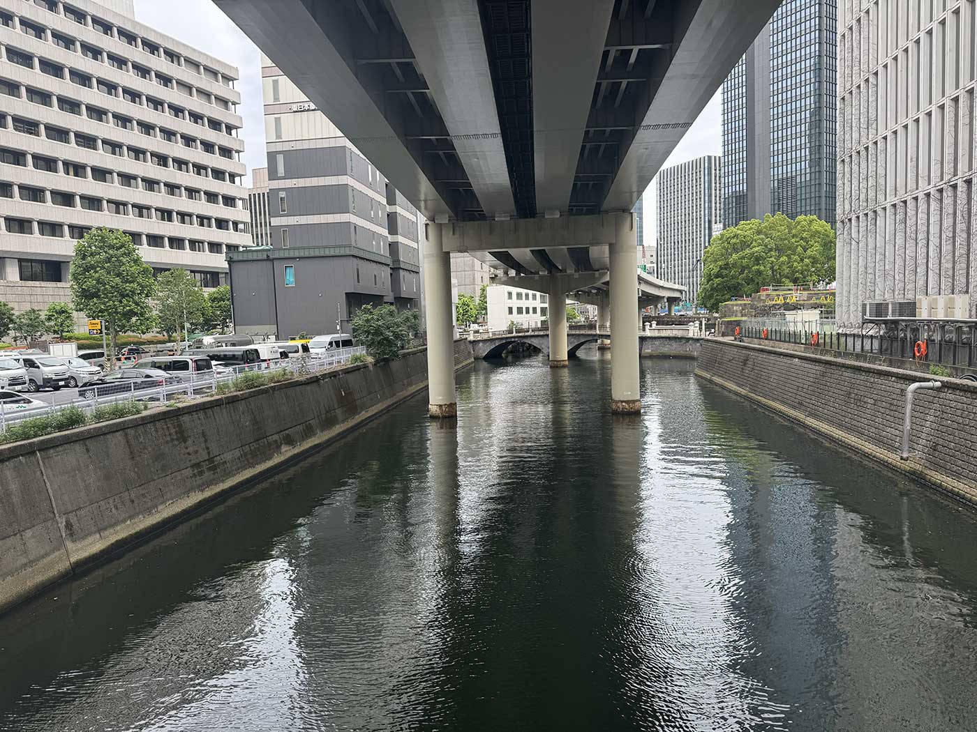 ウォーキングの途中に出会った日本橋川。川の上にある首都高は、将来地下化されるらしいです。
