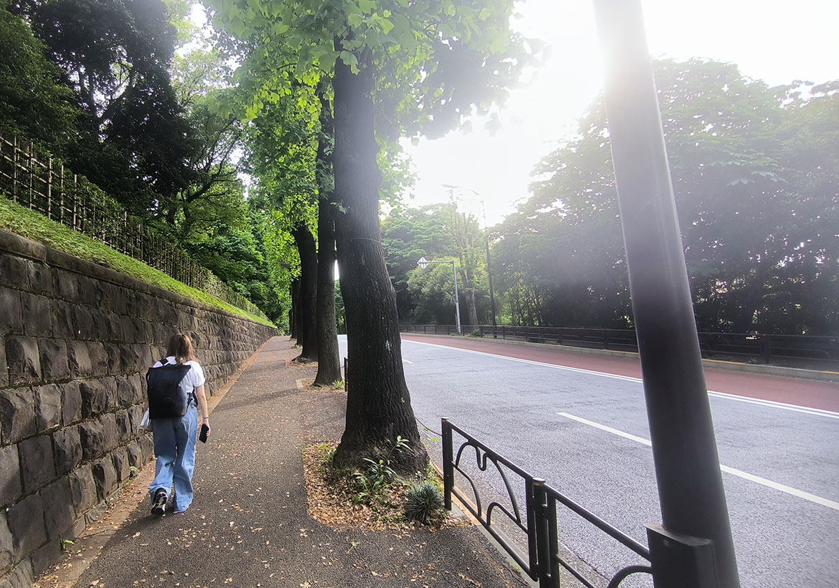 その名の通り、坂になっている安鎮坂通り。なぜか写真も神秘的。