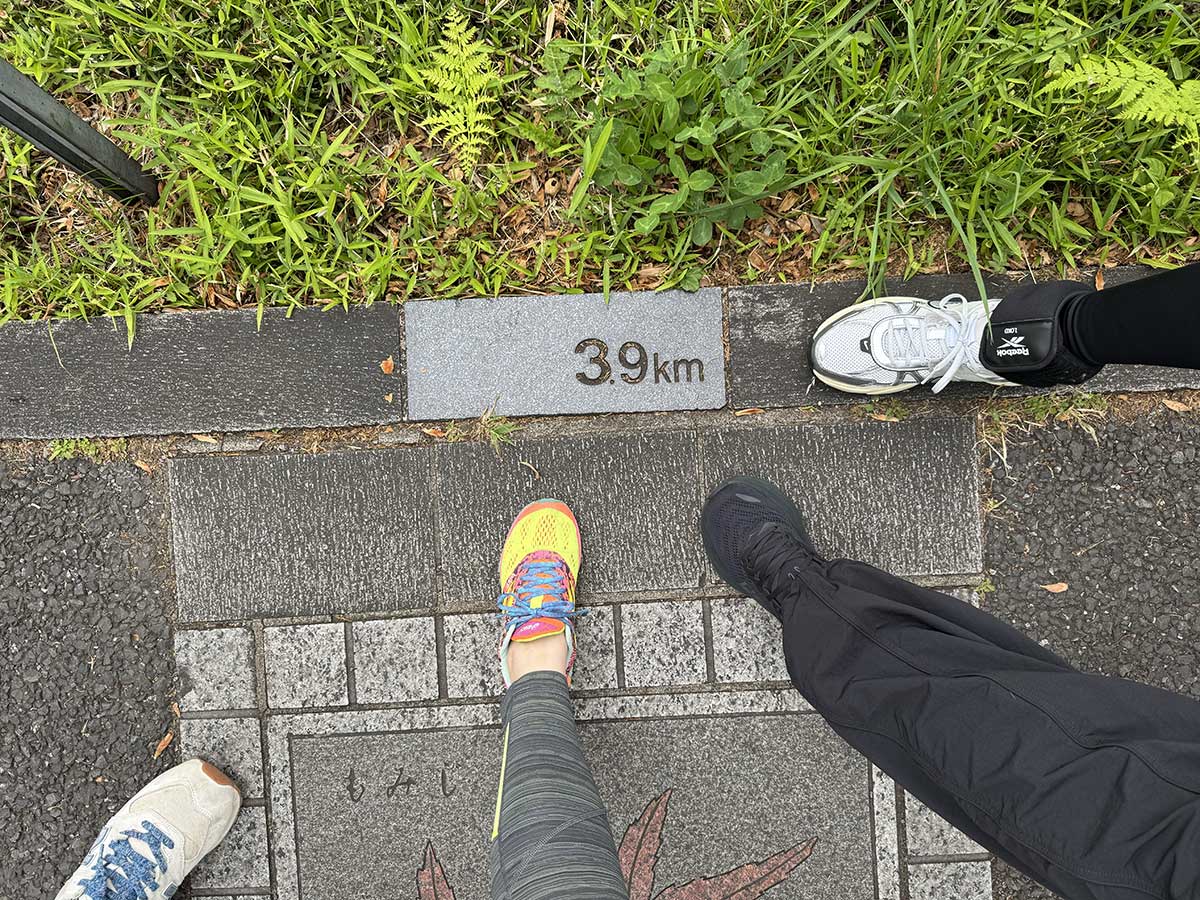 ミクという事で“3.9”kmの花の輪プレートを発見。花は広島県のもみじでした。