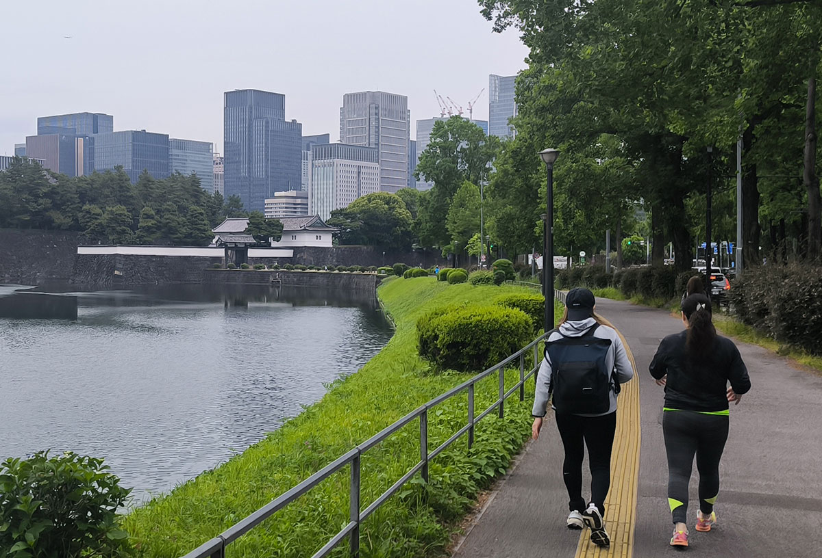 だんだん近づいてくる桜田門。この辺はとても景色が良かったです。