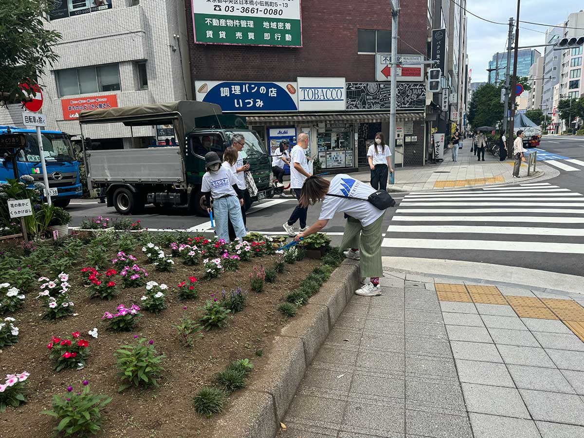 綺麗な花が植えられている大通り。ここをさらに綺麗にしていく。