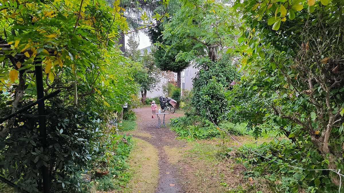 果樹園の中に入ると、東京都とは思えないとても不思議な空間があらわれます。なんだか神秘的で子供たちもはしゃいでいました。