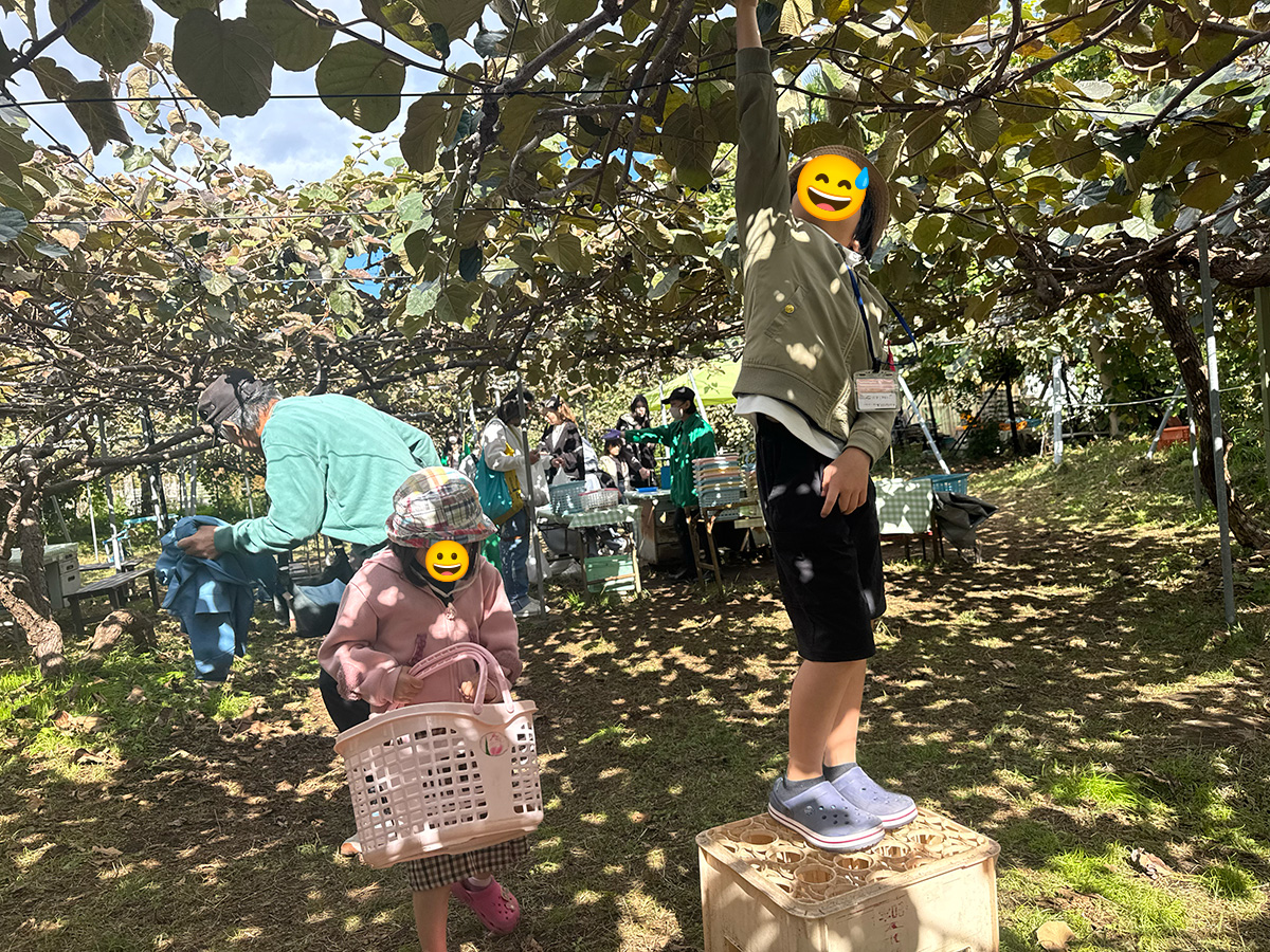 大きな実は高い場所にしか残っておらず、なかなか手が届かない💦