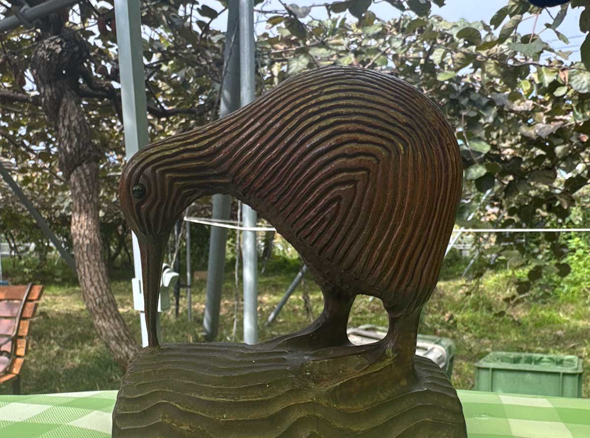 キウイ園に置いてあったキーウィの像。雨の中、ぼっ〜と眺めるのに最適。