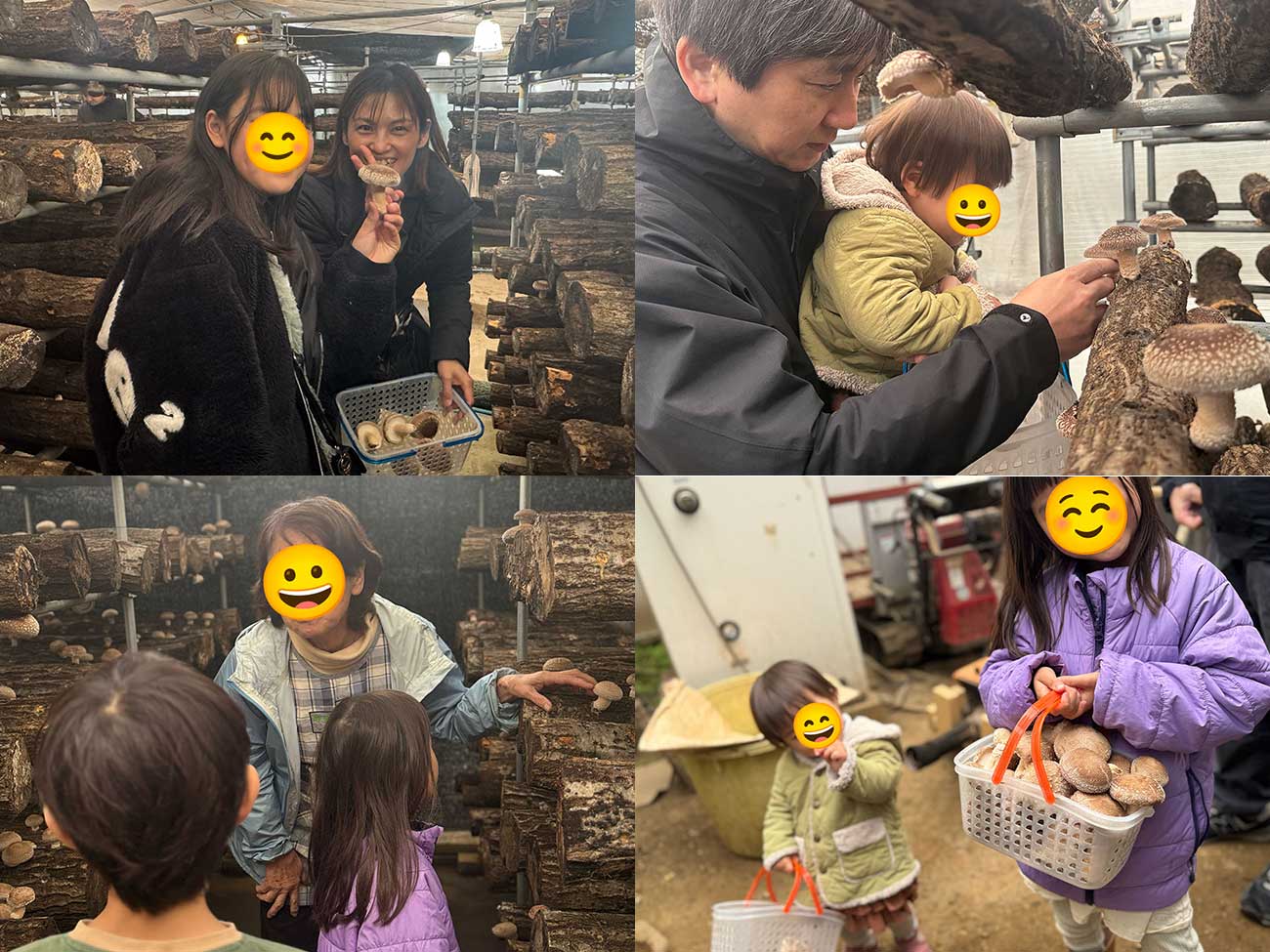 家族一緒に楽しんだ「原木椎茸狩り体験」