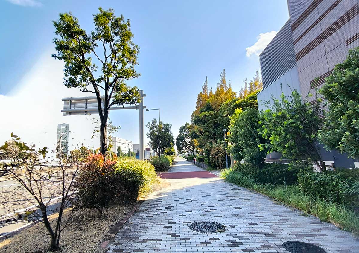 青海南ふ頭公園あたり。このあたりから周りに人がいなくなりました。