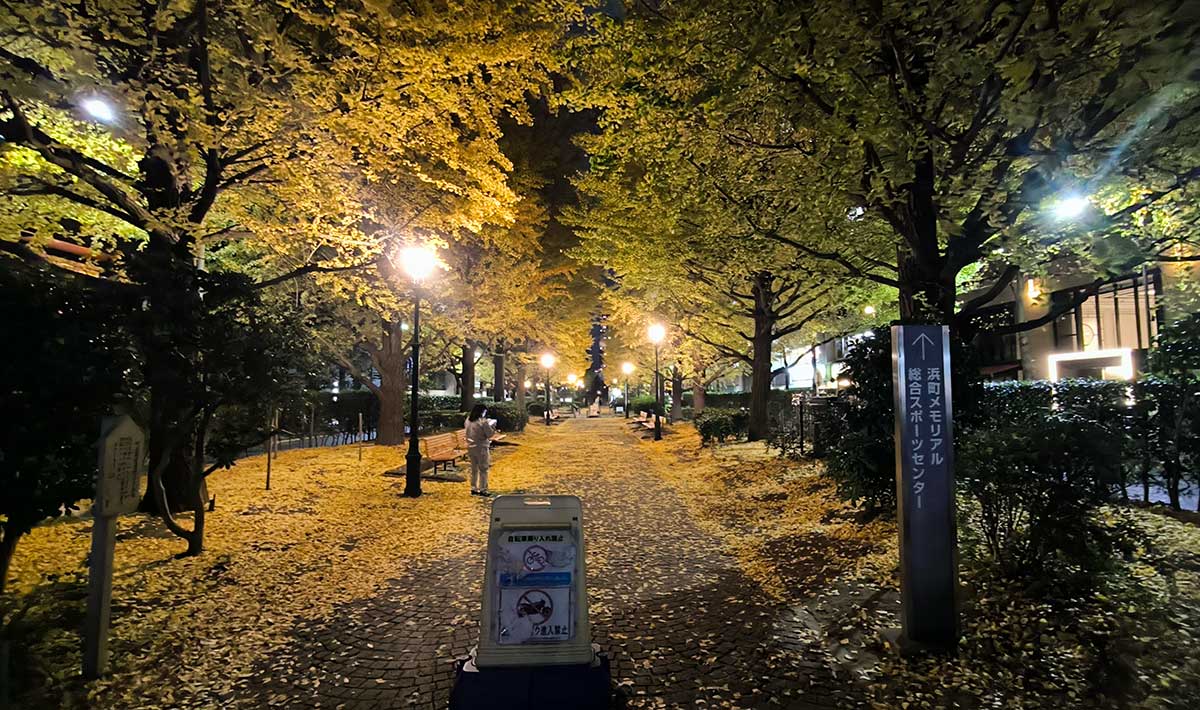 「中央区立総合スポーツセンター」へと続く遊歩道。